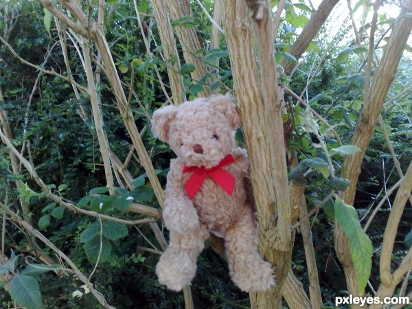 Tree ted 